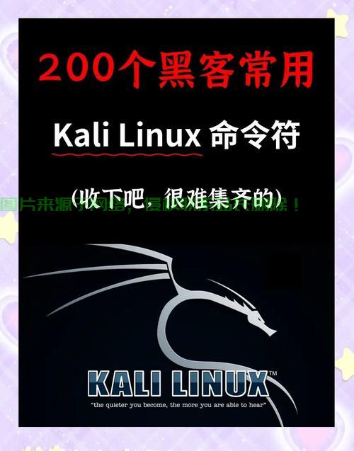 手机刷Kali Linux，移动渗透测试的终极指南，手机刷Kali Linux真能实现移动渗透测试？终极指南揭秘！，手机刷Kali Linux真能变身黑客神器？移动渗透测试终极指南大揭秘！ 第2张