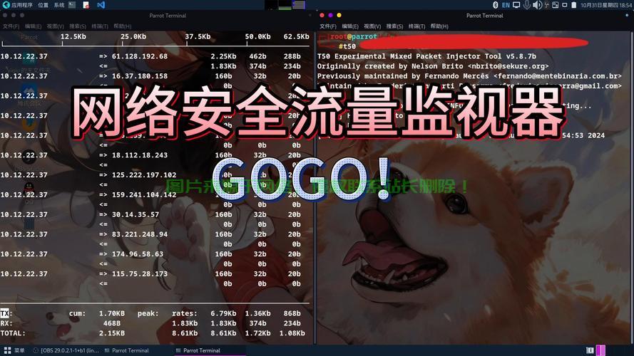 VPS在线流量监控，实时网络状态掌控，性能优化必备利器！ 第1张