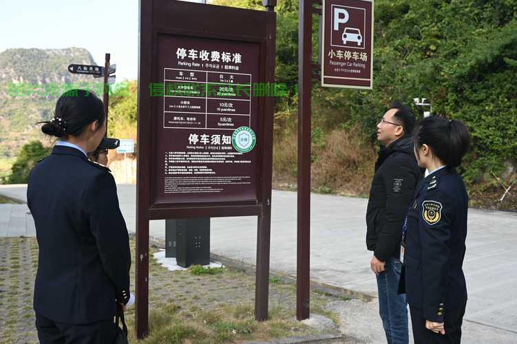 深度解析，VPS停车不收费的秘密真相！ 第2张