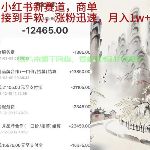 VPS挂机与B站，揭秘隐藏机遇，直面挑战！ 第2张