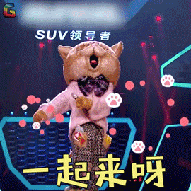 揭秘动态VPS背后的真实操作者,深度探索其操作手法与秘密 第2张 揭秘动态VPS背后的真实操作者,深度探索其操作手法与秘密 第2张