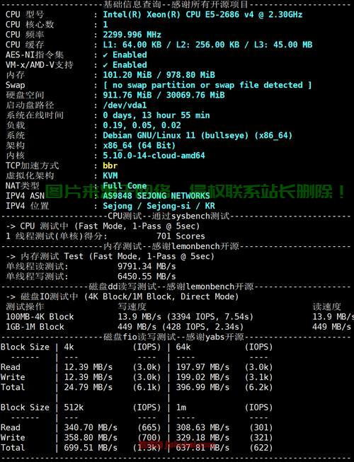 揭秘低配国内VPS，效能与限制，一文洞悉真相！ 第1张