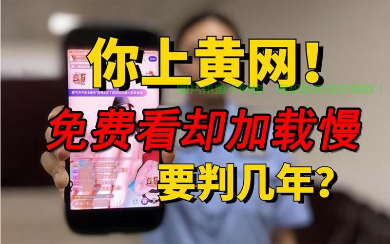 国内使用指南揭秘，永久免费VPS，安全高速兼备的秘密武器！ 第2张