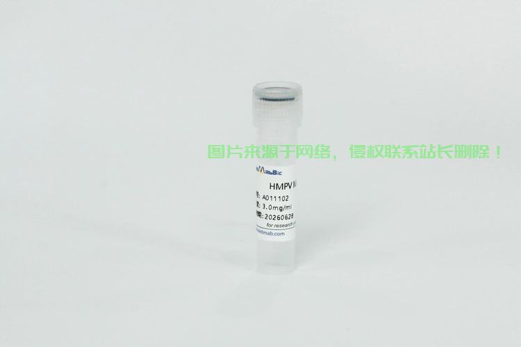 VPS36蛋白的神秘面纱揭秘，深度解析功能与机制 第1张