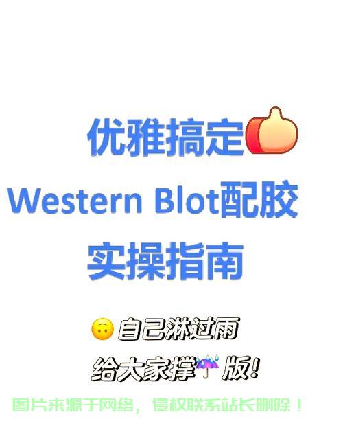 VPS配胶秘籍，轻松找到最佳组合，引领眼球的指南！ 第3张