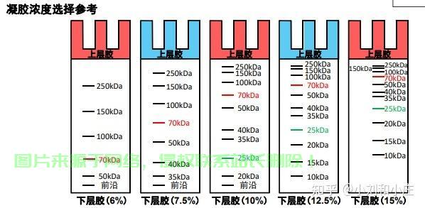 VPS配胶秘籍，轻松找到最佳组合，引领眼球的指南！ 第1张