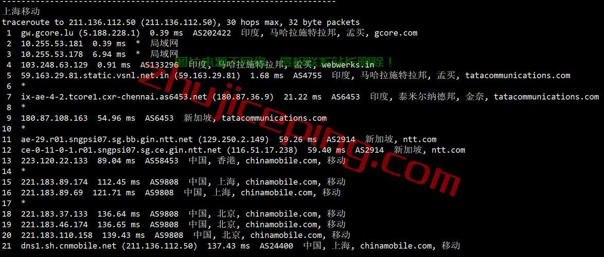 VPS下载秘籍，轻松掌握高效下载方法！ 第2张
