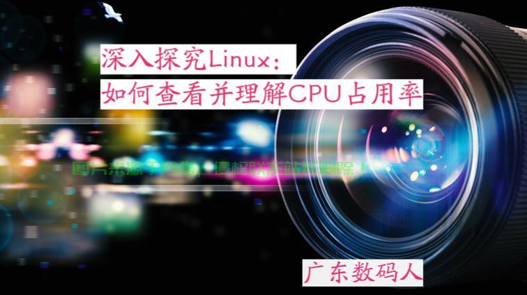 VPS上程序占用CPU查看指南，实用教程助你轻松掌握监控技巧！ 第3张