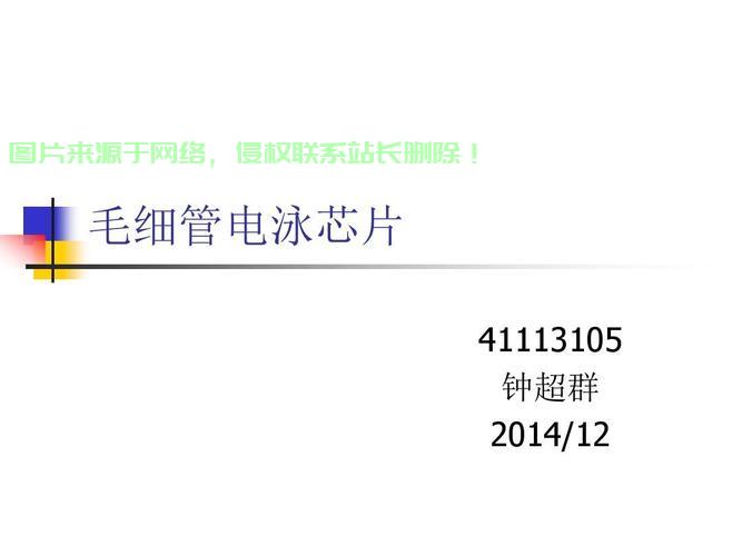VPS电泳分析软件全解析,功能、优势及应用领域深度探讨 第3张 VPS电泳分析软件全解析,功能、优势及应用领域深度探讨 第3张