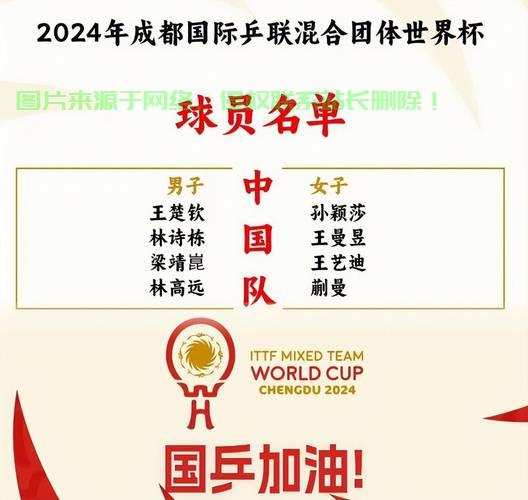 樊振东电竞神器大揭秘，豪华VPS配置引人瞩目！ 第3张