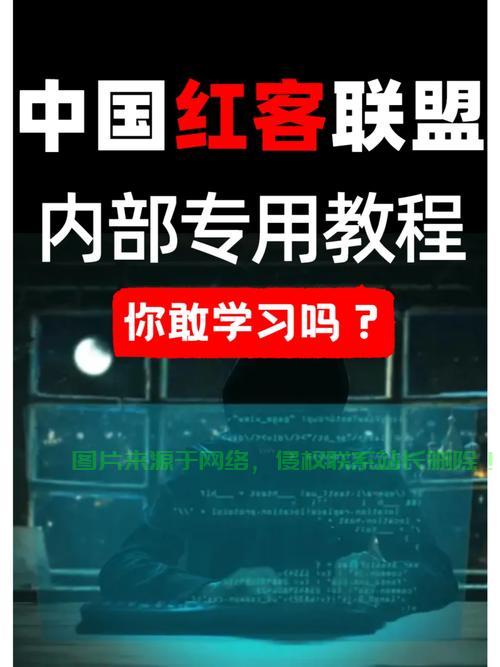VPS安全无忧，黑客防御指南，全方位保护你的虚拟私人服务器安全 第2张
