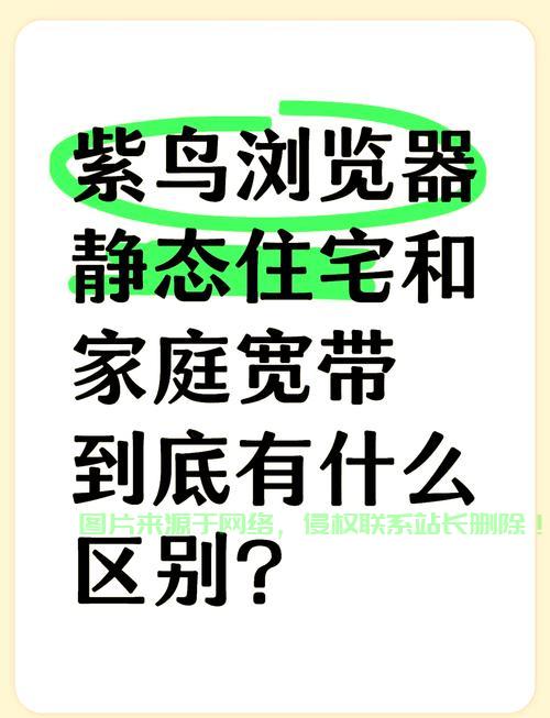 VPS与紫鸟大比拼，深度解析差异，你更倾向哪一个？ 第1张
