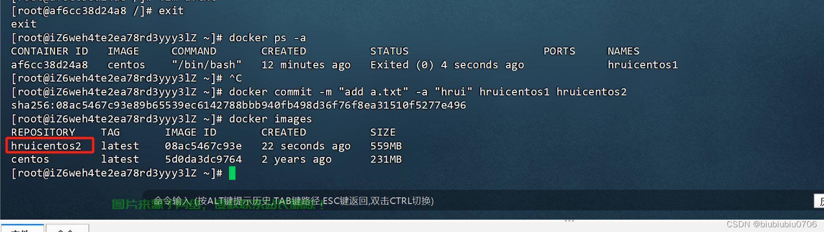 阿里云VPS私有镜像详解，企业级云存储的高效安全与解决方案之路 第3张
