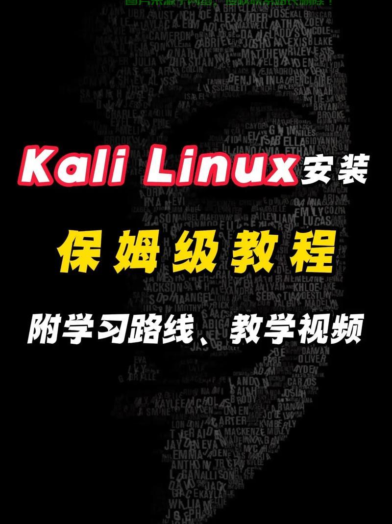 揭秘，学Kali Linux是否必须依赖VPS？虚拟专用服务器的核心作用解析！ 第1张