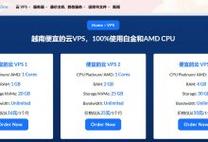 揭秘性价比之王的VPS,超值实惠之选! 第1张 揭秘性价比之王的VPS,超值实惠之选! 第1张