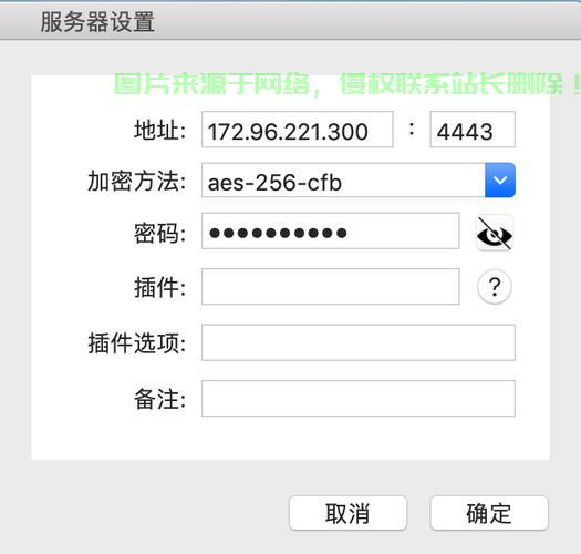 VPS防SS检测伪装技巧大揭秘，轻松应对网络监控挑战！ 第2张