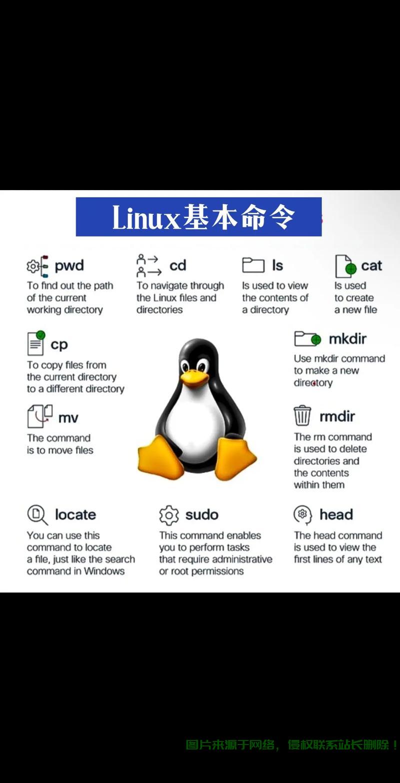 Linux VPS安全策略详解，保障数据安全和稳定运行的关键秘籍 第1张