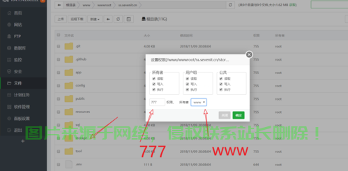 外国VPS自建SS全攻略，零基础轻松上手，开启学习之旅！ 第3张