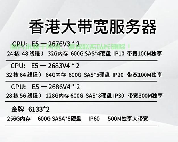 香港轻量级VPS，云端高效体验的首选 第2张