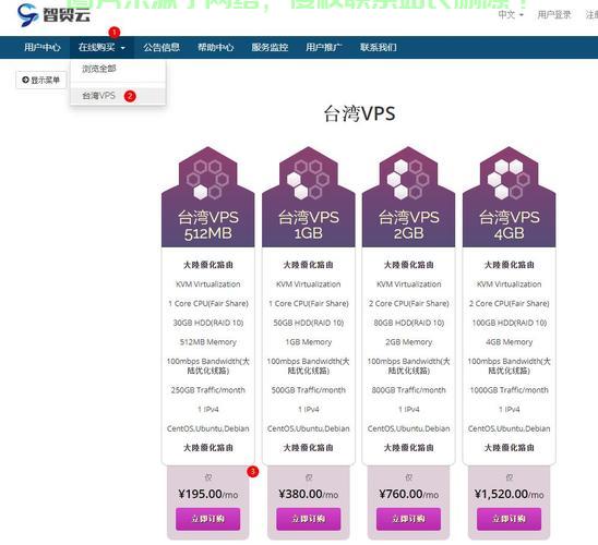 台湾顶级VPS架设服务详解，专业公司推荐与全面解析 第1张