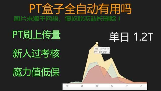 VPS搭建PT高效刷流全攻略，轻松掌握，流量飙升！ 第1张