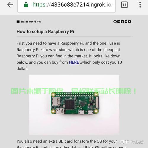 Ngrok与树莓派VPS，构建远程访问利器 第2张