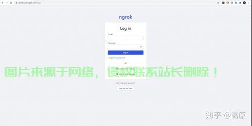Ngrok与树莓派VPS，构建远程访问利器 第3张