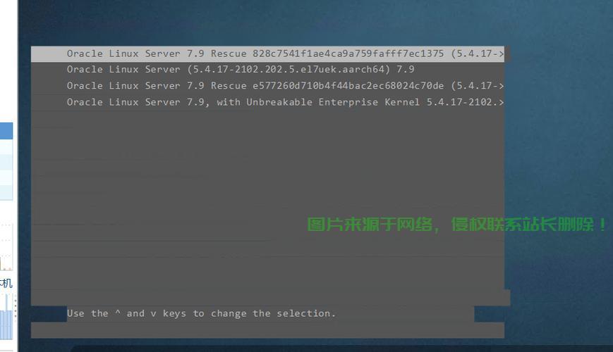 甲骨文VPS VNC远程接入解决方案，安全高效的云端办公体验 第3张