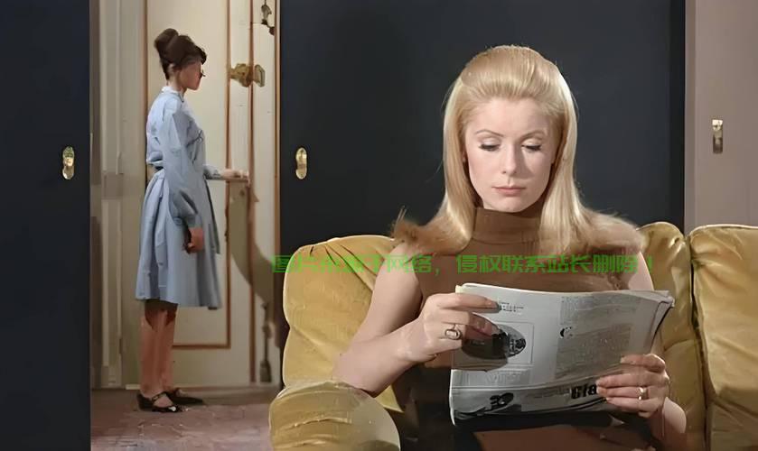 欧美顶级VPS服务，速度与稳定性的极致追求 第3张