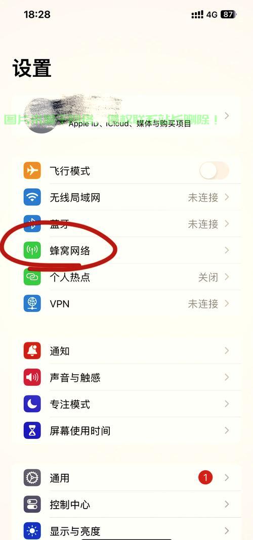 VPS设置教程，轻松上手，一步步教你电脑设置使用VPS！ 第2张