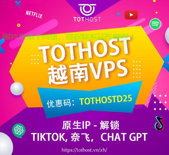 VPS助力TikTok畅游，深度解析进入TikTok的顺畅之路！ 第3张