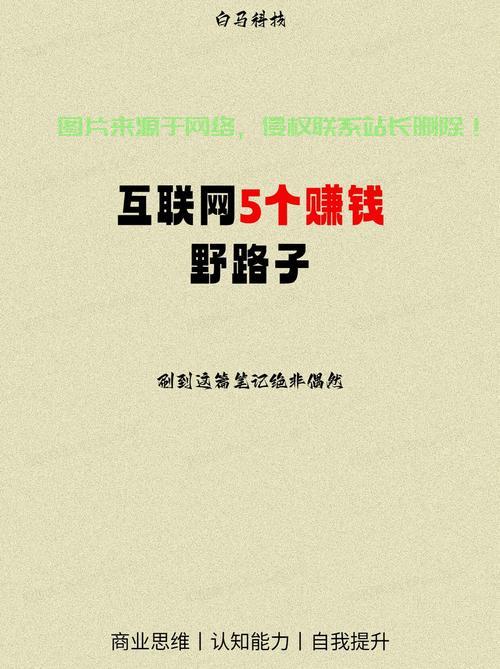 揭秘VPS赚钱之路，高效盈利的秘密大揭秘！ 第2张