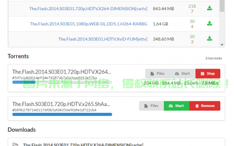 独家指南，VPS助力BT种子下载，安全与速度双保障！ 第1张