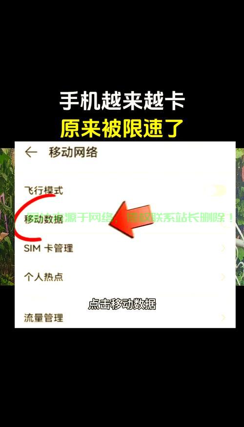 VPS网速骤降真相揭秘，原因分析与解决策略 第2张