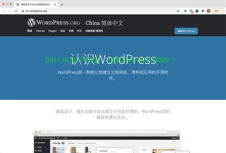 极速建站利器，64m VPS WordPress体验分享 第1张