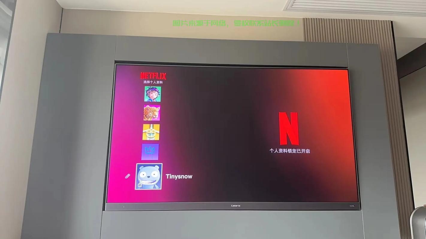 独家揭秘，最佳VPS选择，带你畅享奈飞娱乐世界！ 第3张