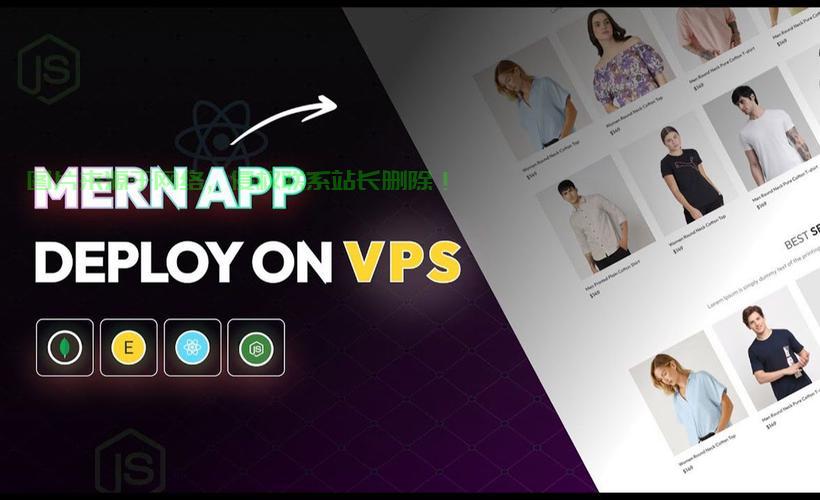 重磅揭秘，VPS项目的无限潜能探索！ 第3张