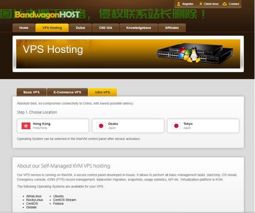 搬瓦工VPS内网访问秘籍，安全高效互通，轻松实现数据传输！ 第1张