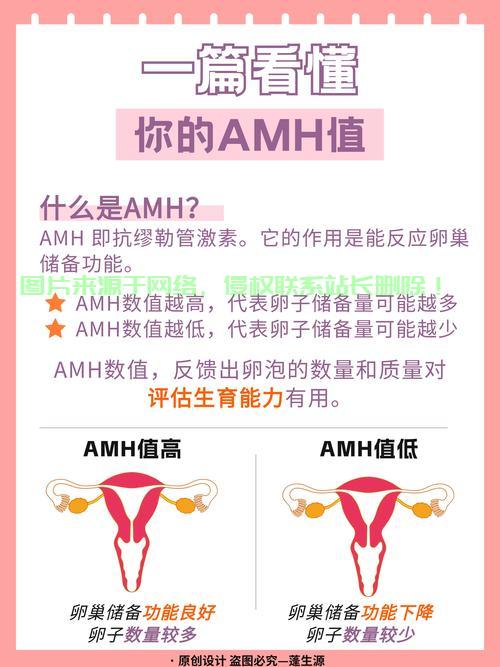 揭秘怀孕VPS，概念、内涵与要点详解！ 第2张