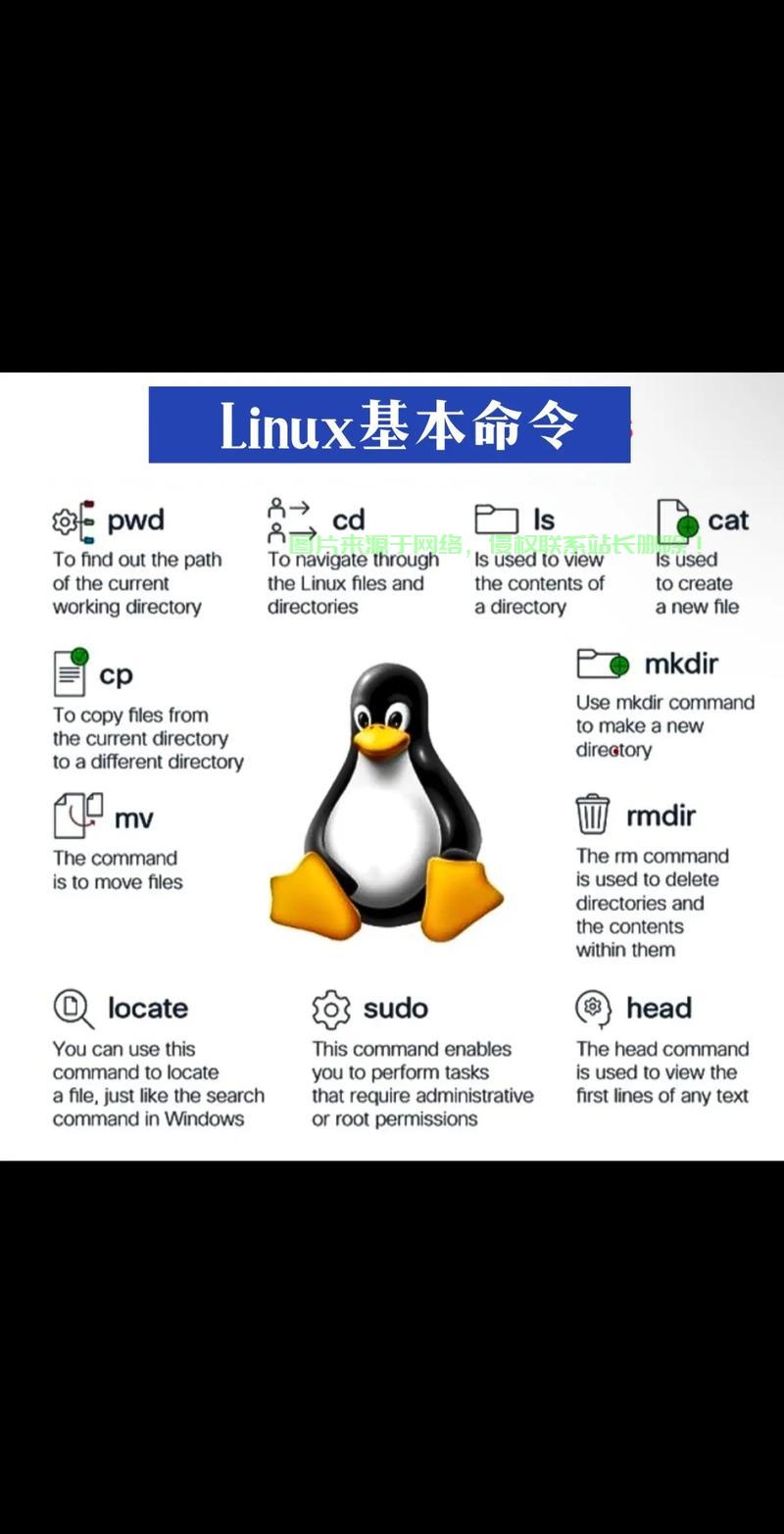 Linux系统VPS建站全攻略，轻松搭建个人网站，一站式指南！ 第2张