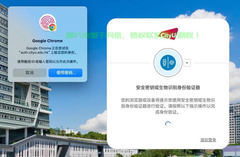 爱文新VPS登录全攻略，轻松进入你的虚拟私人空间 第1张