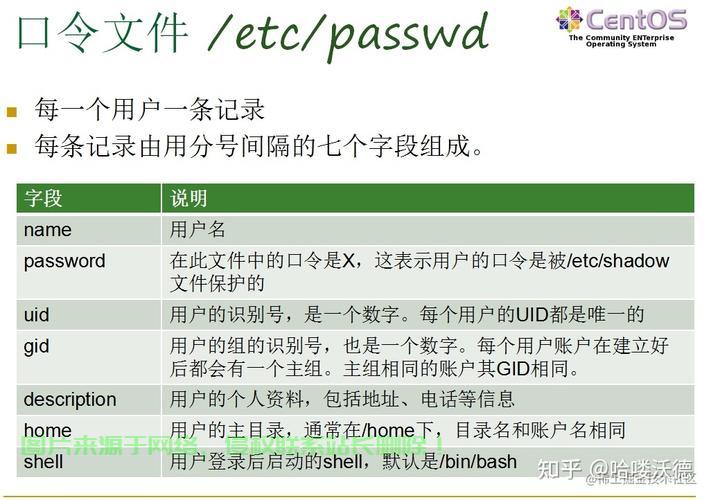 Linux新建用户授权，从创建到权限管理的完整指南，如何在Linux中高效创建用户并精准管理权限？，如何在Linux中一键创建用户并精细掌控权限？ 第3张