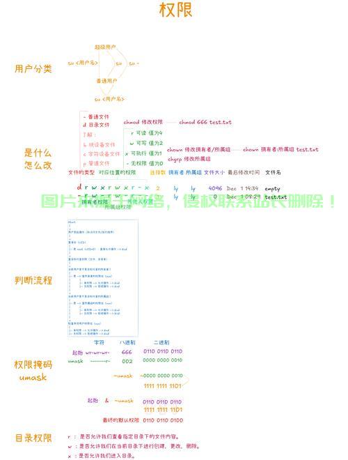 Linux新建用户授权，从创建到权限管理的完整指南，如何在Linux中高效创建用户并精准管理权限？，如何在Linux中一键创建用户并精细掌控权限？ 第2张
