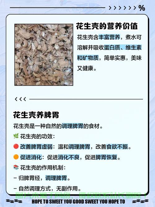 揭秘花生壳与VPS，网络连接背后的秘密解析 第1张