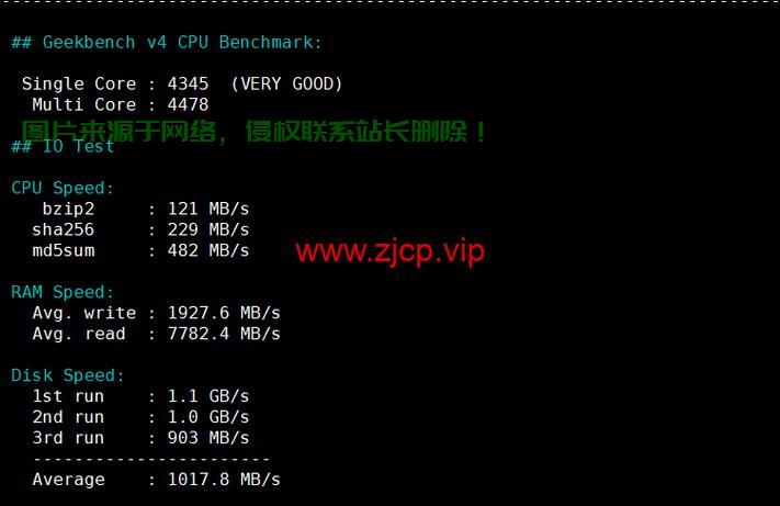 VPS美国高速畅游，30MB超快体验，网络无界任我行！ 第3张