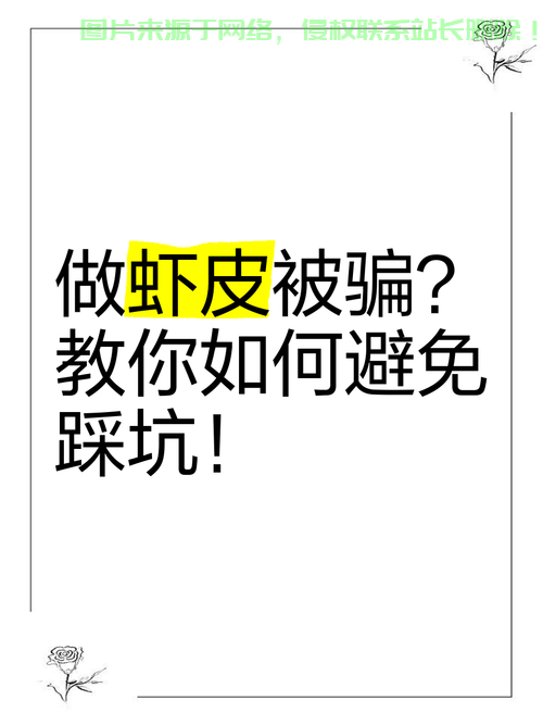 虾皮电商必备工具,是否需要VPS的深度解析! 第1张 虾皮电商必备工具,是否需要VPS的深度解析! 第1张