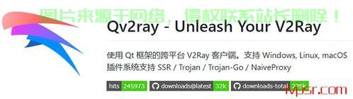 鲁诺VPS新手入门指南，轻松上手，无忧操作！ 第3张