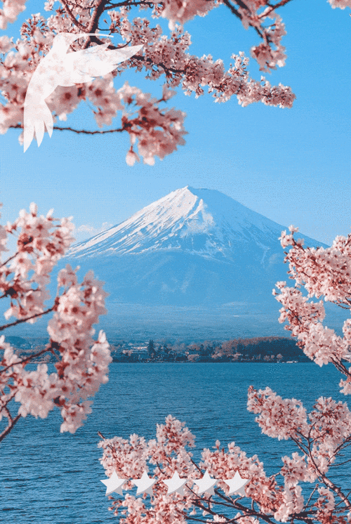 探索日本樱花VPS下载，轻松畅游樱花世界 第1张