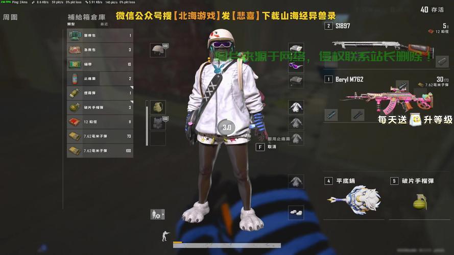 吃鸡顶级主播独家揭秘，成为顶尖玩家的VPS实战技巧！ 第2张